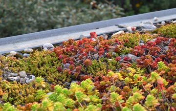 the cost of Crockernwell green roof installation