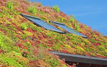 Crockernwell living roof systems
